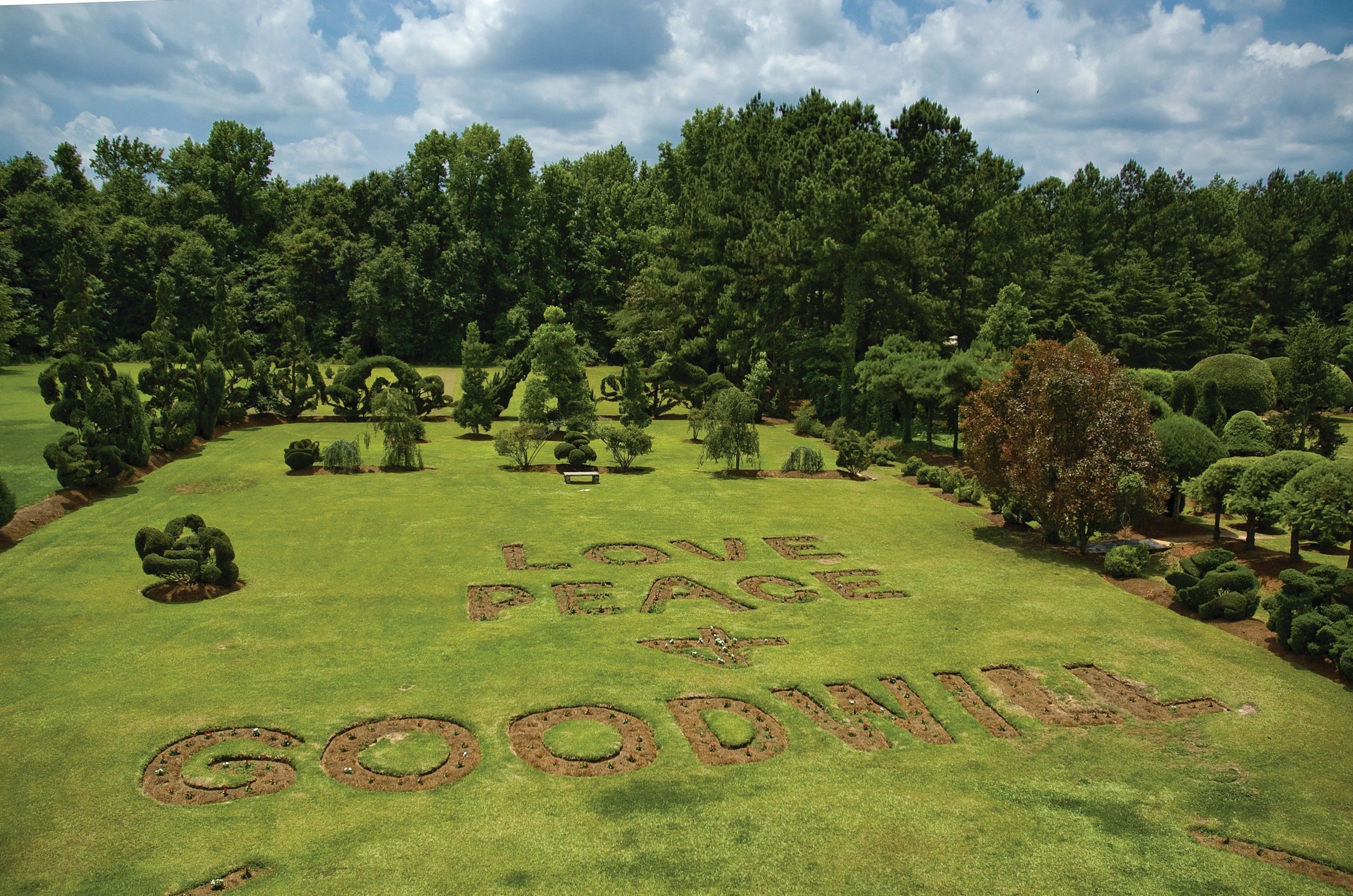 12_06-DEC cr Dustin Shores.jpg