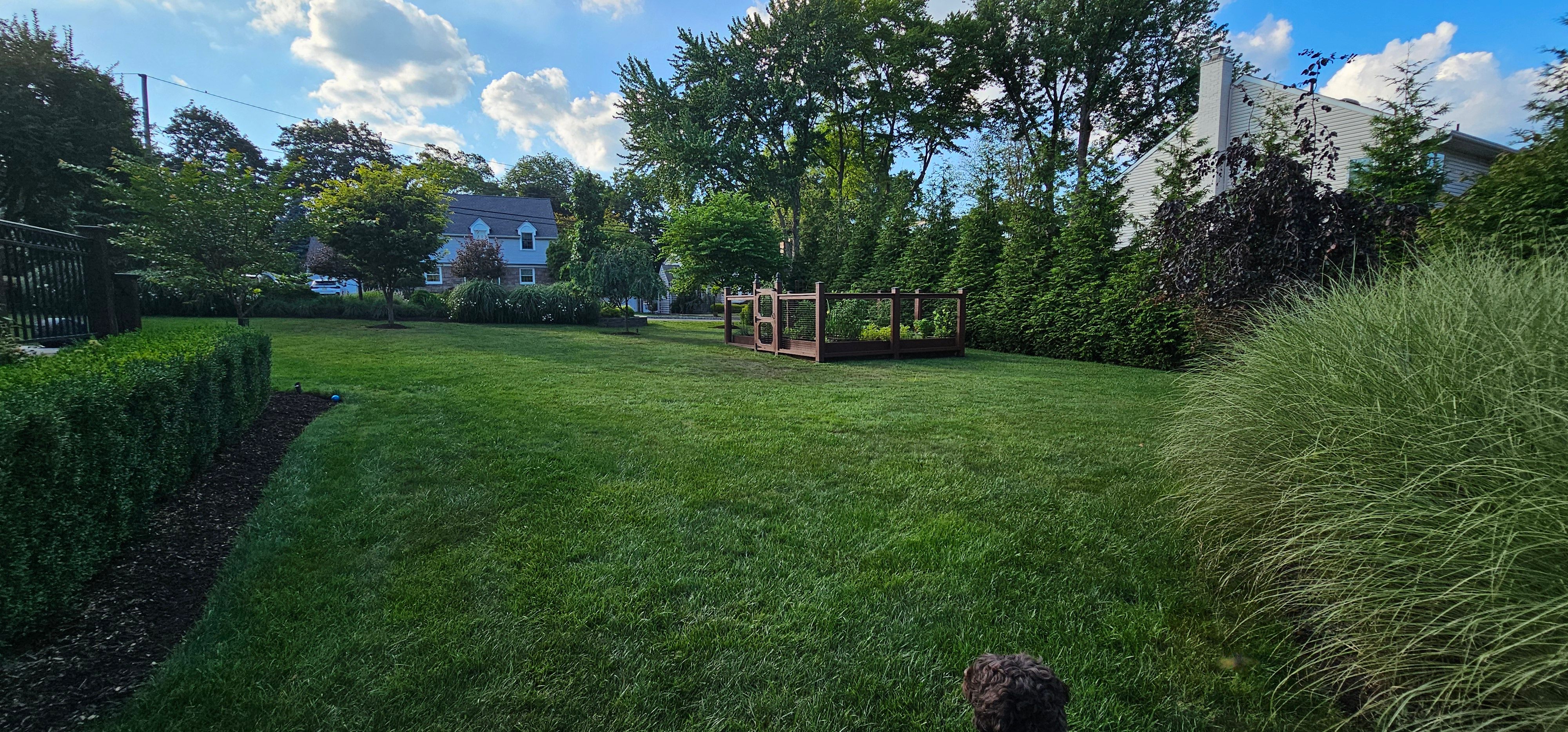 20250715_183125.jpg