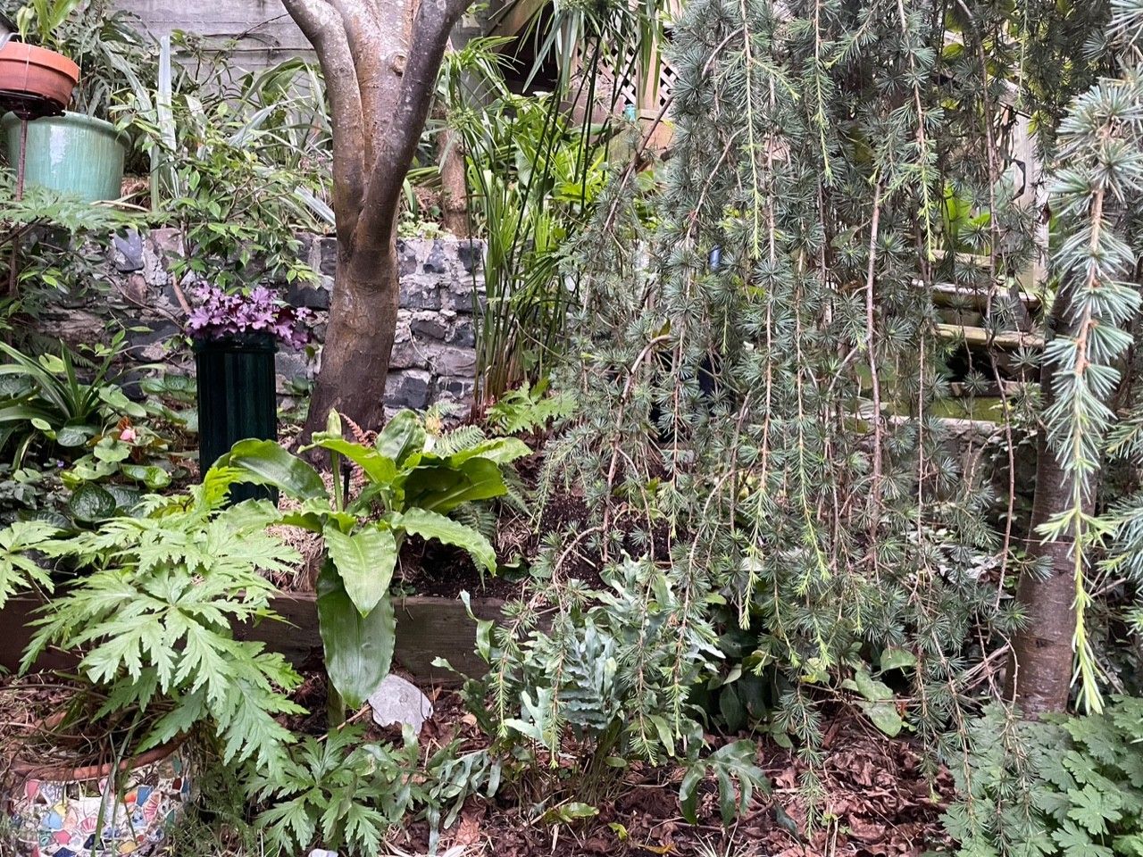 Bernal Heights Hidden Garden.jpg