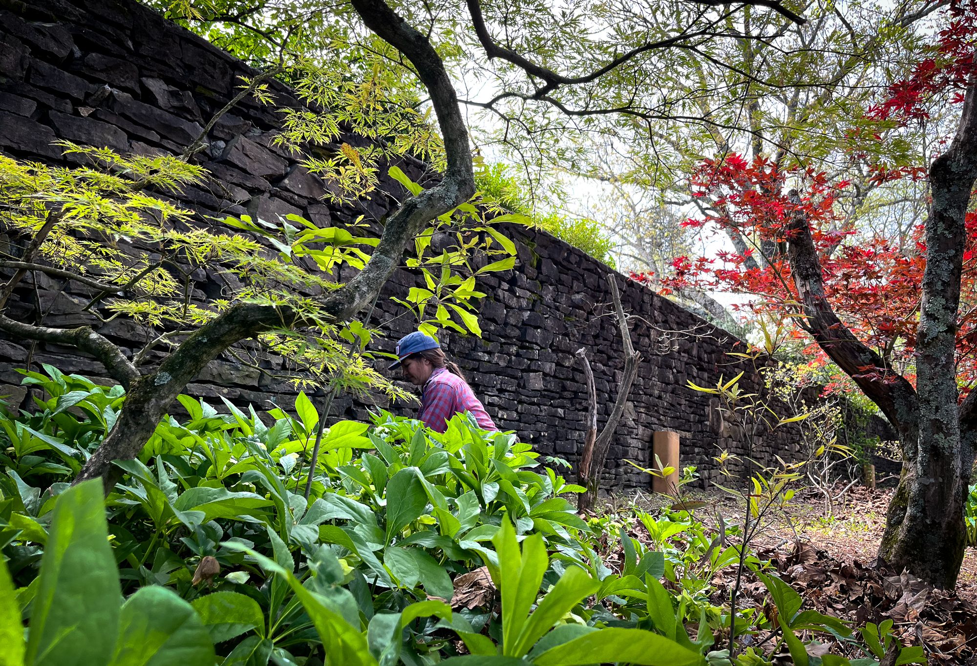 The Garden Conservancy Announces 2025 Garden Futures Grants  