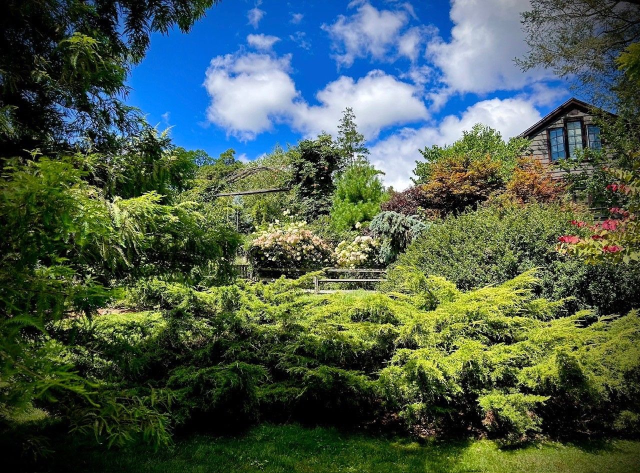 Our Little Arboretum.jpg