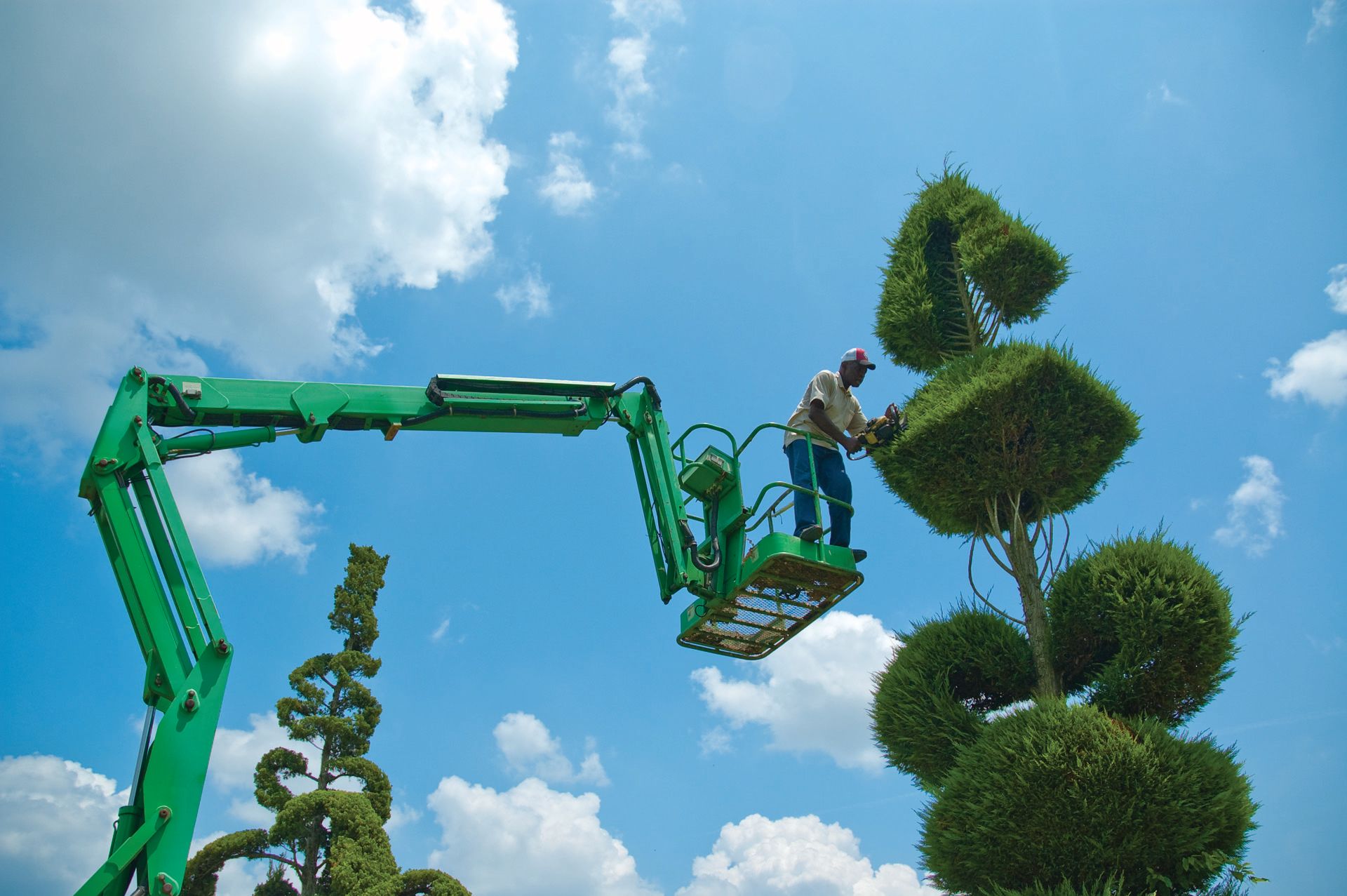 Remembering Pearl Fryar, Self-Taught Topiary Artist, Mentor, Horticulturist