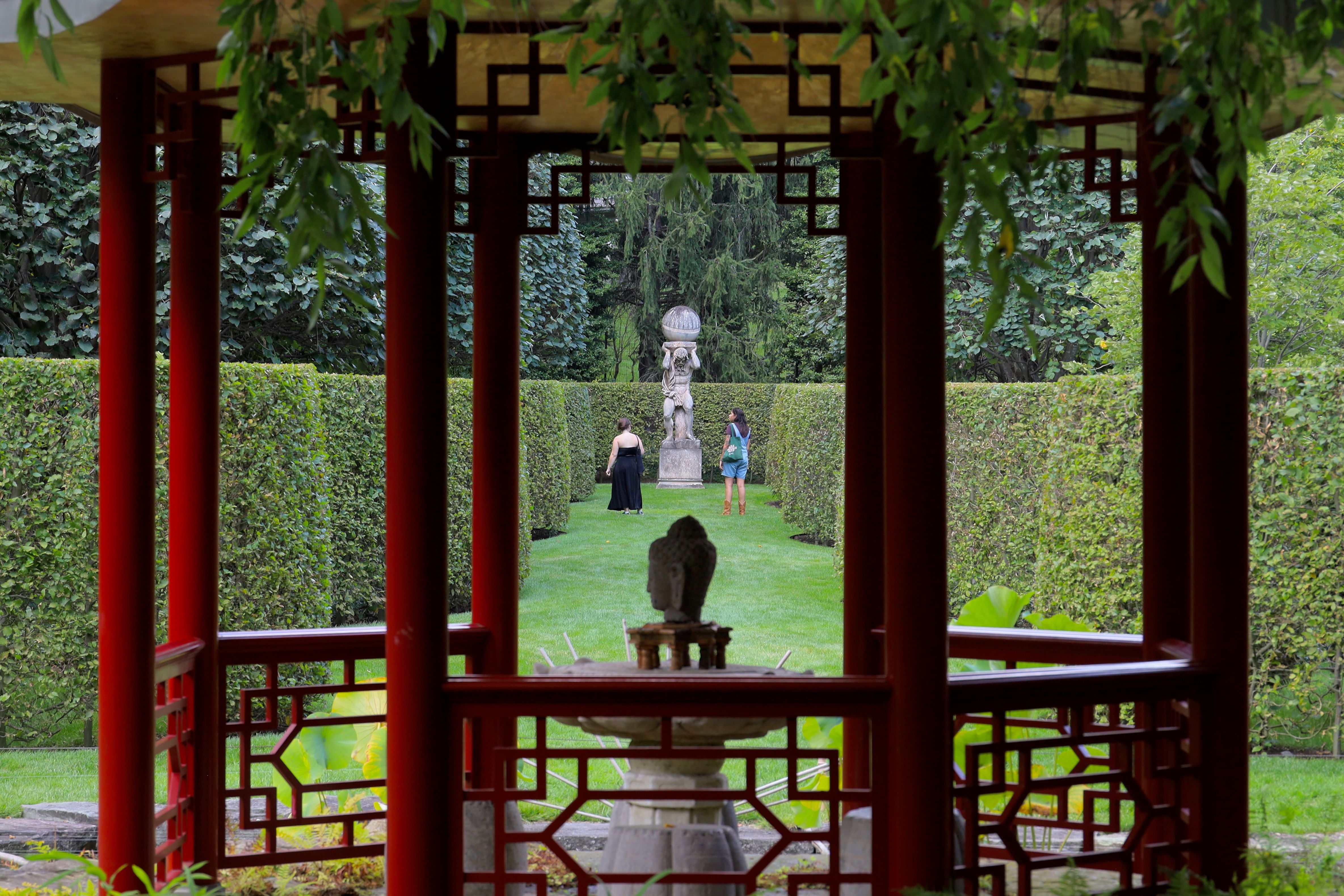 Sleepy Cat Farm: Designing a Dreamscape