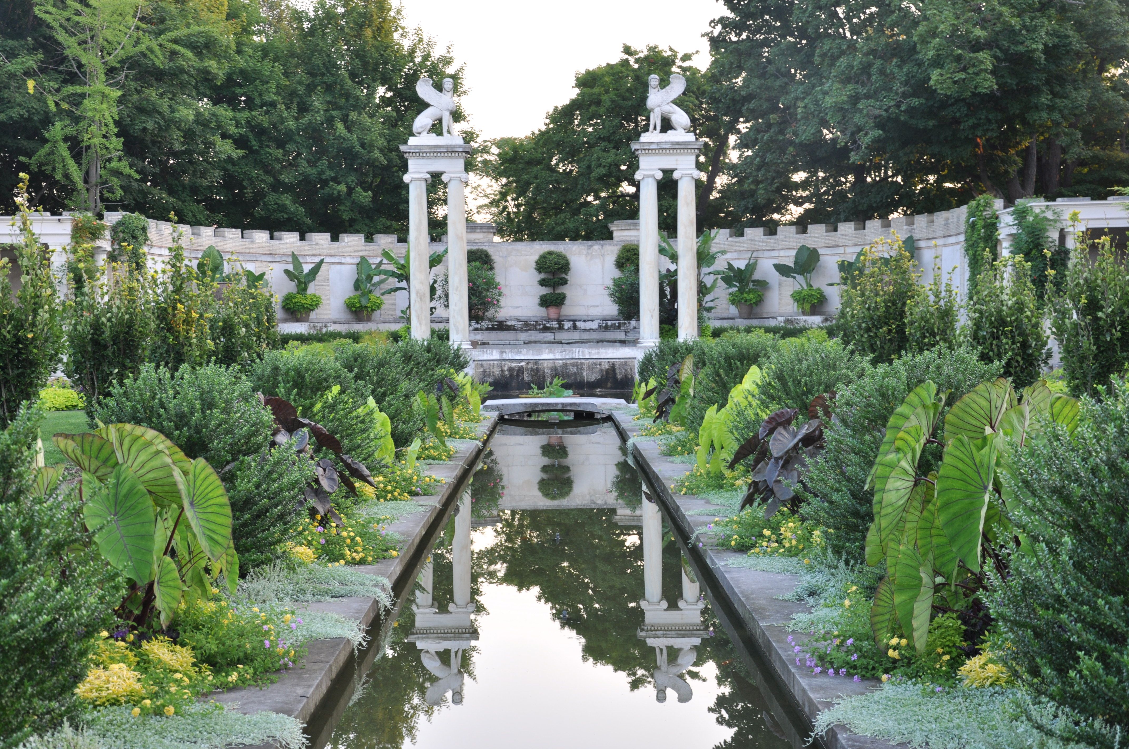 Walled garden-elephantears-sphinx.jpg