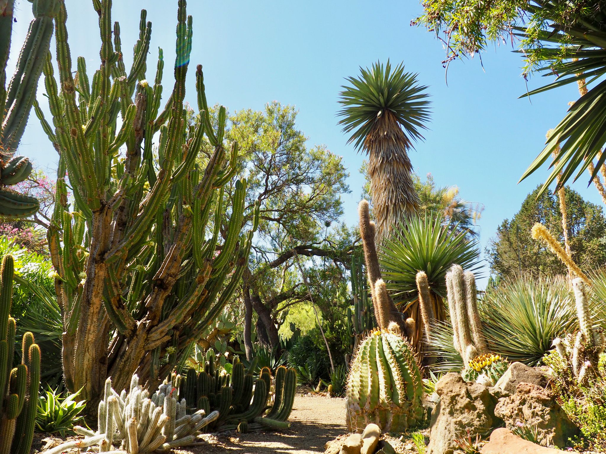 Dry Gardening: Droughts are the New Normal in Some Regions, But We Can Adapt